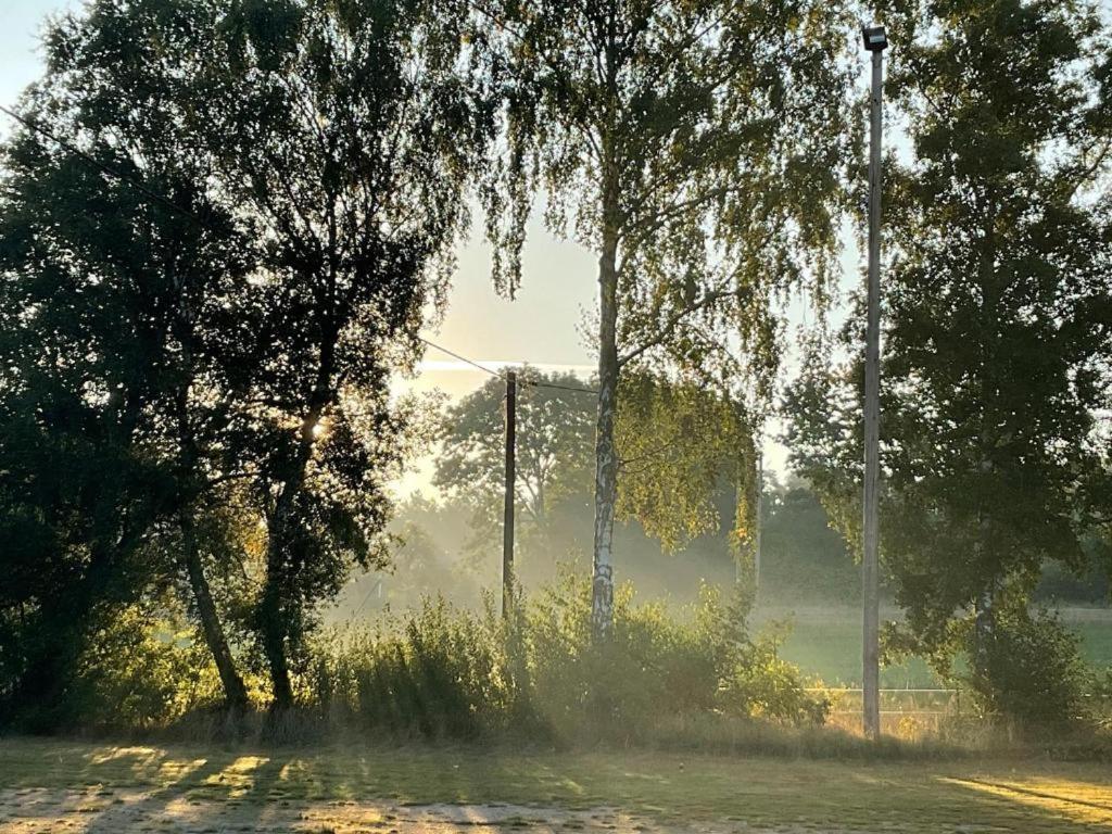 Raella Camp - Oeland Hotel Borgholm község Kültér fotó